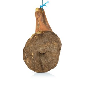 SPALLA ANTICA TRADIZIONE